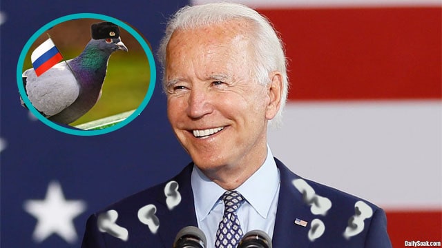 Pigeon bird pooping on Joe Biden.