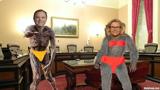 January 6 House committee members wearing bkinis during live hearings.