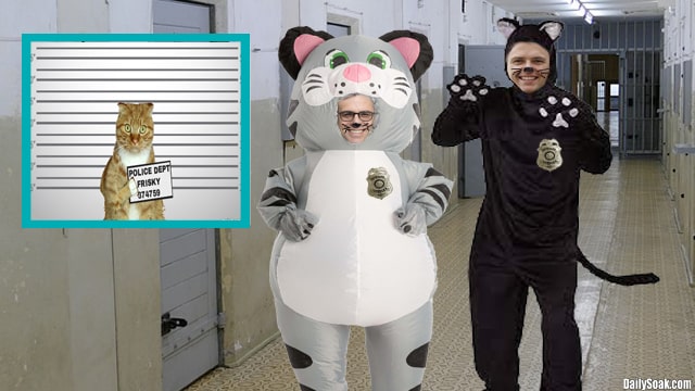 Police officers wearing cat costumes inside of police station.