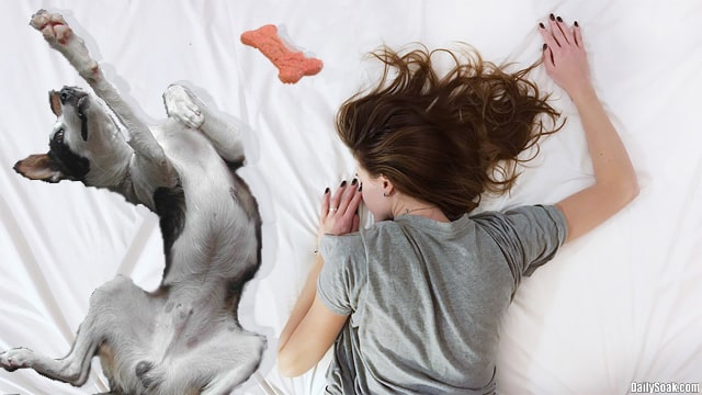 Dog and woman lying on bed covered in white blanket.