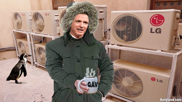 Gavin Newsom wearing fleece jacket inside air conditioned room.
