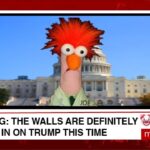 MSNBC Morning Joe parody with Muppet Beaker playing Joe Scarborough.