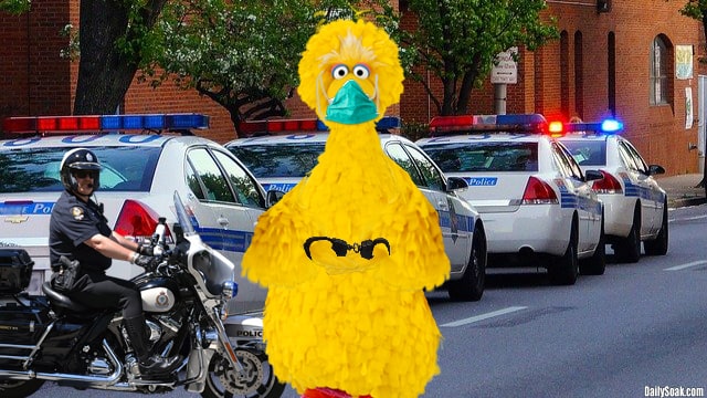 Sesame Street Big Bird parody with police arresting him.