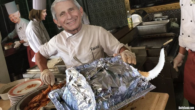 Dr. Fauci wearing white chef apron in kitchen on Thanksgiving.