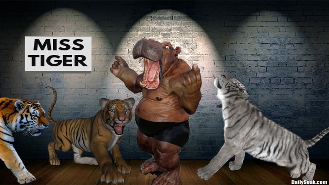Miss America parody with a hippopotamus and tigers onstage.