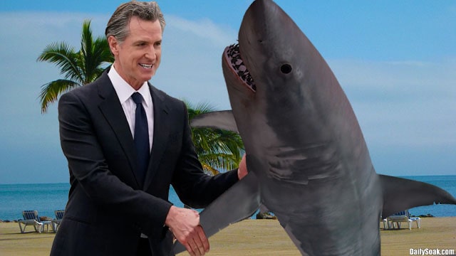California Governor Gavin Newsom on beach shaking hands with a shark.