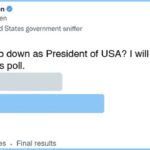Parody Joe Biden Twitter poll asking if he should step down as president.