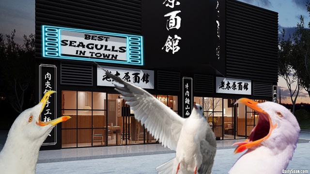 Three seagulls sitting in front of Chinese food restaurant at night.