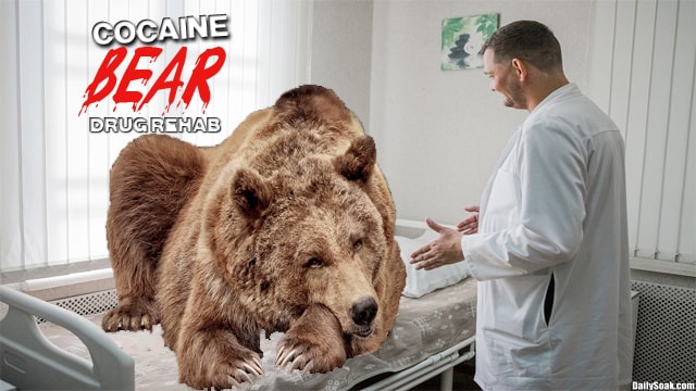 Cocaine Bear parody movie with the brown bear antagonist sitting on white bed in drug treatment center.