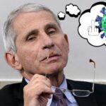 Dr. Fauci thinking about a COVID virus.