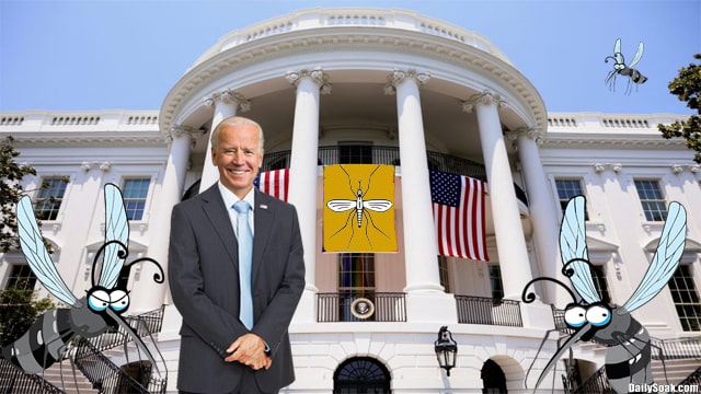 Joe Biden standing on White House lawn with mosquitos during pride month.