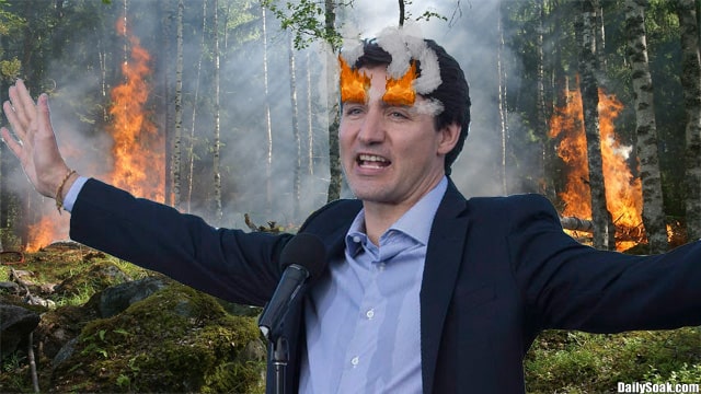 Justin Trudeau standing in burning forest as his eyebrows catch fire.