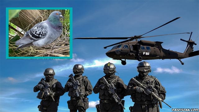 FBI swat team with guns drawn on pigeon that pooped on Joe Biden.