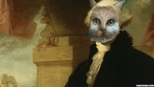 Brown cat dressed as George Washington with white wig.