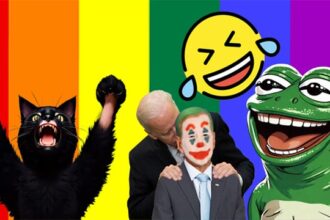 Rainbow background with Joe Biden, black cat, Pepe the frog in front of it.