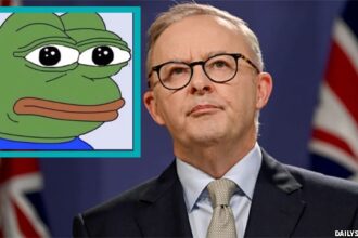 Australia Prime Minister Anthony Albanese with a meme insert of Pepe the Frog.