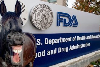 Horse in front of FDA building in Ivermectin story.