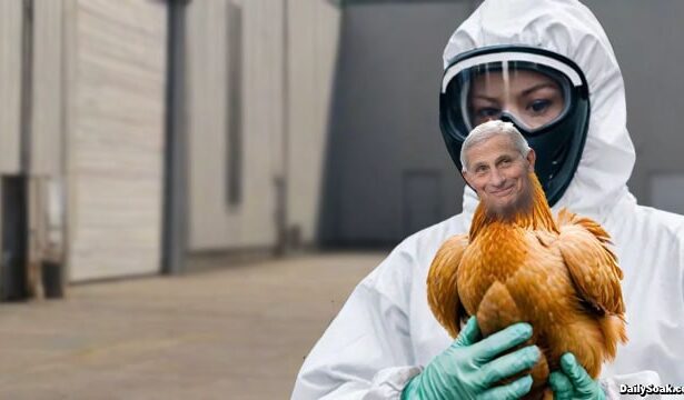 WHO worker wearing hazmat suit holding a chicken with the head of Dr. Fauci.