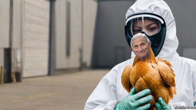 WHO worker wearing hazmat suit holding a chicken with the head of Dr. Fauci.