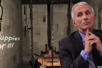 Dr. Fauci iniside of a puppy torture room.