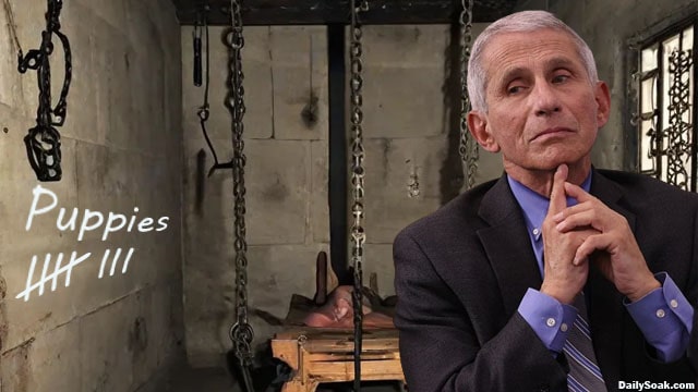 Dr. Fauci iniside of a puppy torture room.