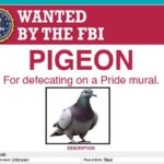 FBI wanted poster with a picture of a pigeon on it wanted for defacing a pride mural.