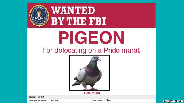 FBI wanted poster with a picture of a pigeon on it wanted for defacing a pride mural.