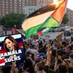 Palestine protesters protesting Kamala Harris at the DNC.