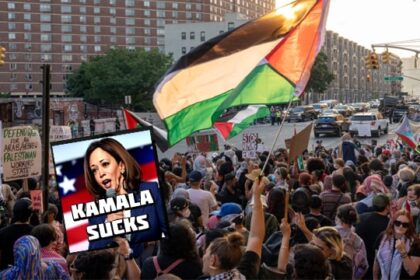 Palestine protesters protesting Kamala Harris at the DNC.