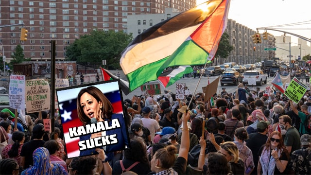 Palestine protesters protesting Kamala Harris at the DNC.