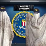 FBI agents dressed as ghosts trying to catch ghost cars.