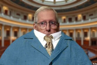 Mitch McConnell retreating into his suit jacket like a turtle.