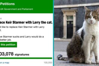 UK petition to replace Keir Starmer with famous Larry the Cat.