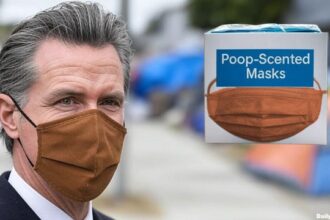 Gavin Newsom wearing a brown mask so he doesn't have to smell poop in California.