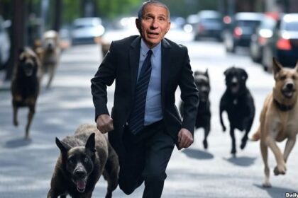 Dr. Fauci being chased by beagles and other dogs.