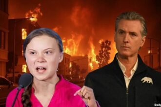 Gavin Newsom standing behind Great Thunberg at the Los Angeles wildfires.