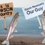 California Delta Smelt fish holding up signs in support of Gavin Newsom.