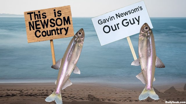 California Delta Smelt fish holding up signs in support of Gavin Newsom.