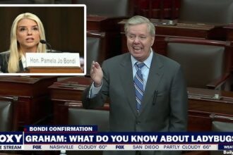 Lindsey Graham grilling nominee Pam Bondi in the Senate.