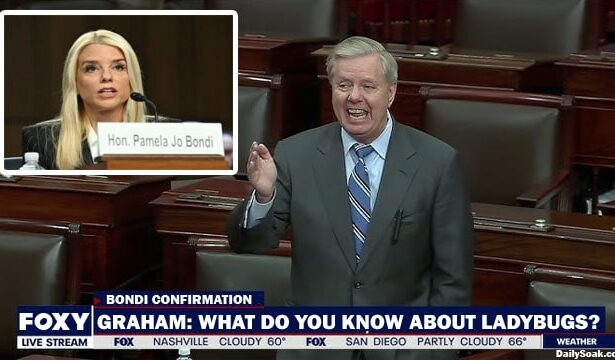 Lindsey Graham grilling nominee Pam Bondi in the Senate.