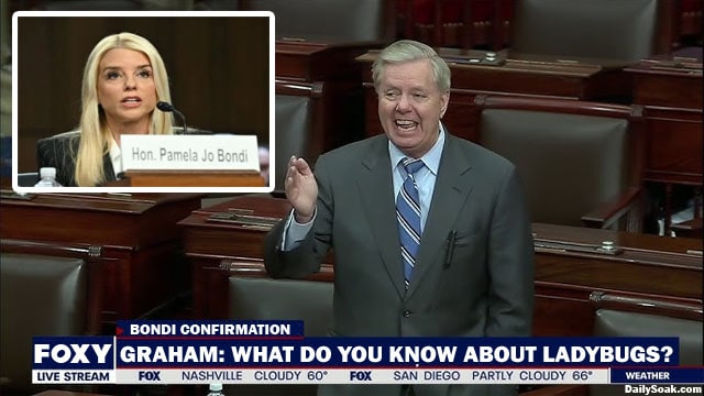 Lindsey Graham grilling nominee Pam Bondi in the Senate.