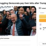 Parody GoFundMe page for Democrats in response to Donald Trump stopping USAID.