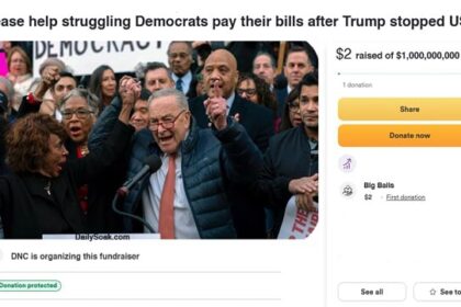 Parody GoFundMe page for Democrats in response to Donald Trump stopping USAID.