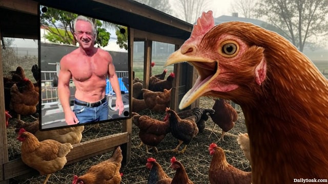 Chickens staring at RFK Jr. picture as a way to fix egg shortage.