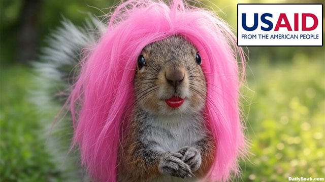 Transgender squirrel with pink hair and red lips in Guatemala waiting for a USAID payment.