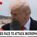 CNN news reporter's microphone hitting Donald Trump in the face.