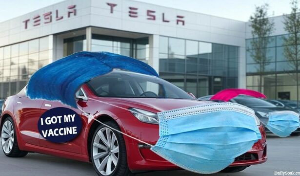 Tesla vehicles disguised as Liberals with blue hair, and a medical mask.