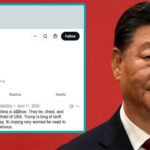 China President Xi Jinping on Chinese social media bots.