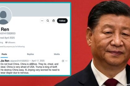 China President Xi Jinping on Chinese social media bots.