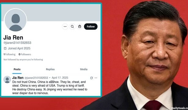 China President Xi Jinping on Chinese social media bots.